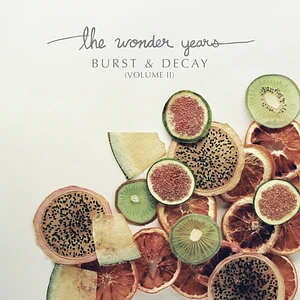 Wonder Years - Burst & Decay - Volume Ii