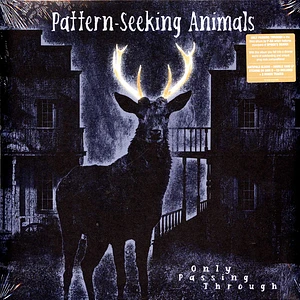 Pattern-Seeking Animals - Only Passing Through