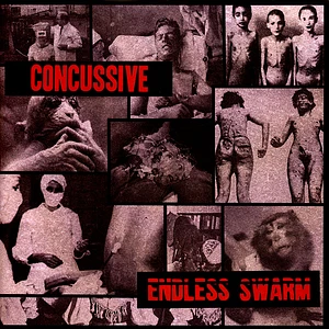 Concussive / Endless Swarm - Concussive / Endless Swarm