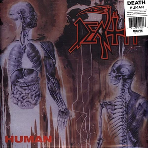 Death - Human