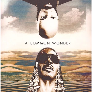 Common vs. Stevie Wonder - A Common Wonder