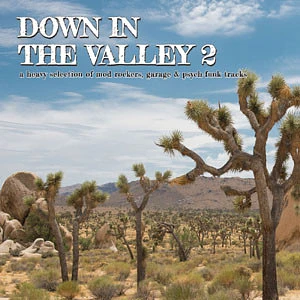 V.A. - Down In The Valley 2