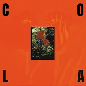 Cola - The Gloss Trasnparent Olive Green Vinyl Edition
