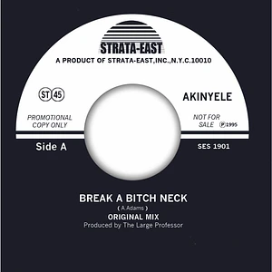 Akinyele - Break A Bitch Neck