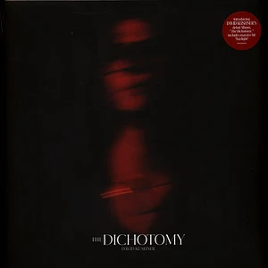 David Kushner - The Dichotomy Black Vinyl Edition