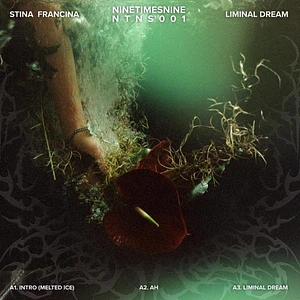 Stina Francina - Liminal Dream