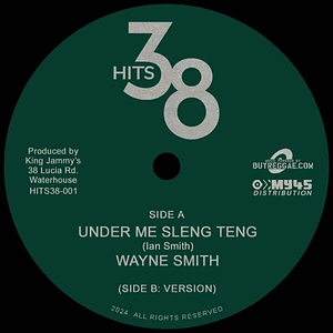 Wayne Smith - Under Me Sleng Teng