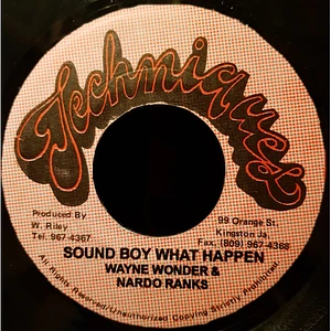 Wayne Wonder & Nardo Ranks - Sound Boy What Happen