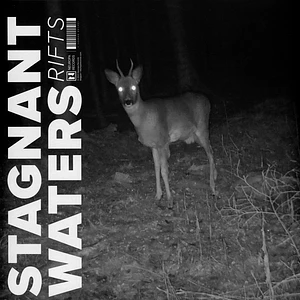 Stagnant Waters - Rifts