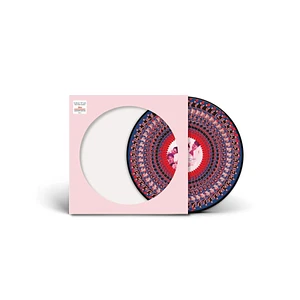 Take That - Everything Changes Zoetrope Vinyl Edition