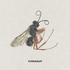 Vundabar - Good Old Citrus Vinyl