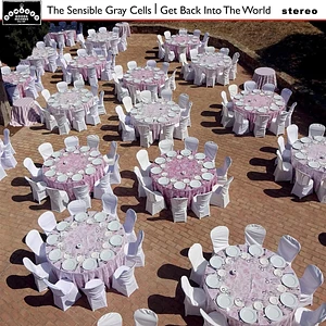 The Sensible Gray Cells - Get Back Into The World