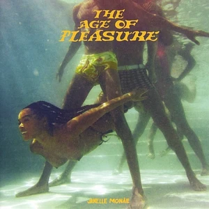 Janelle Monae - The Age Of Pleasure