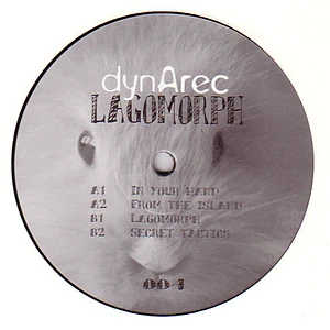 Dynarec - Lagomorph