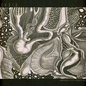 cv313 - Dimensional Space Clear Vinyl Edition