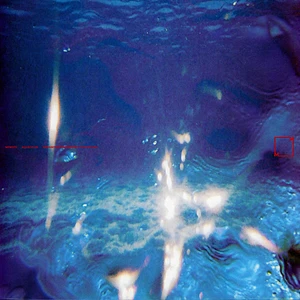 Fabiano Do Nascimento & E Ruscha V - Aquáticos