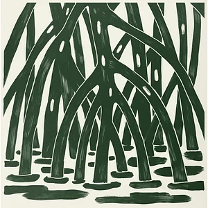 Stefano Nardon - Mangrovia