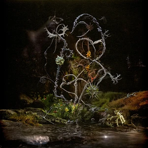 Maude Vôs - Medicinal Properties