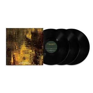 Sarah Davachi - The Will Of Tongues