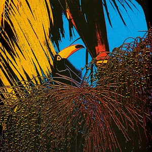 Joao Comazzi - Tucanaçai