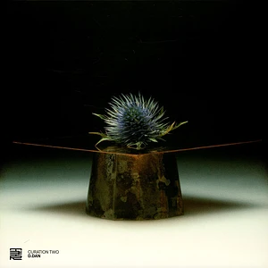 V.A. - Curation Two: D.Dan