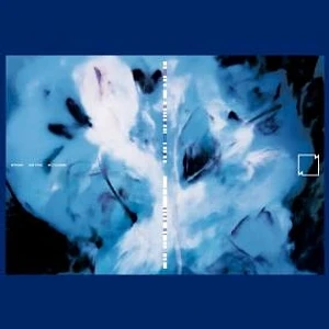 Asa Tone - Mutualkind