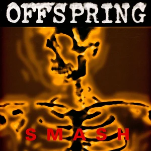 The Offspring - Smash Yellow Black Colored Vinyl Edition Edition