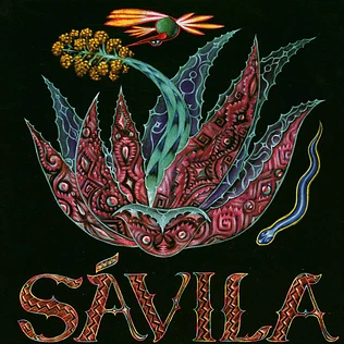 Sávila - Mayahuel