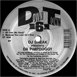 DJ Sneak - Da Pimpdoggy