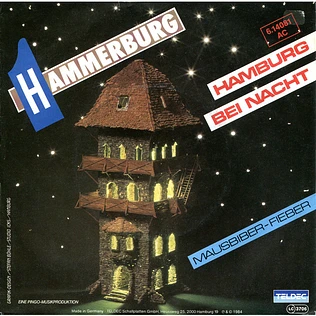 Hammerburg - Hamburg Bei Nacht