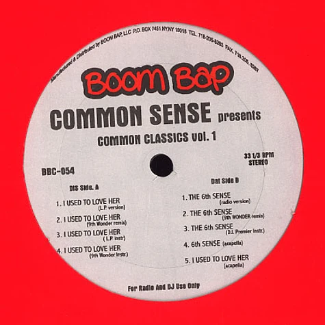 Common - I used to love her / the 6th sense
