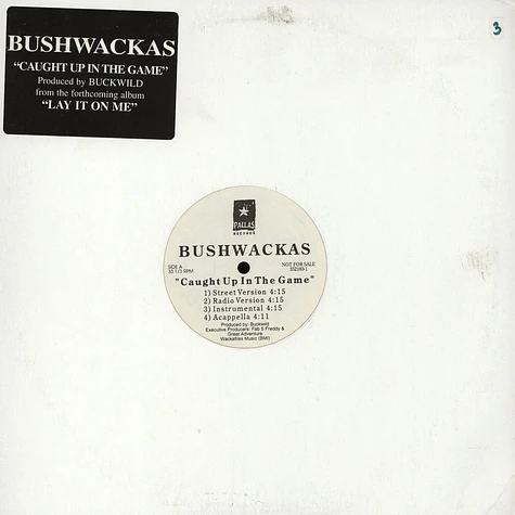 Bushwackass - Caught Up In The Game