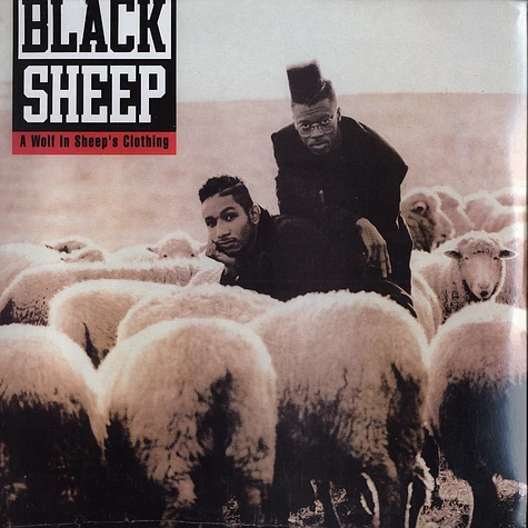 Black Sheep - A wolf in sheep's clothing