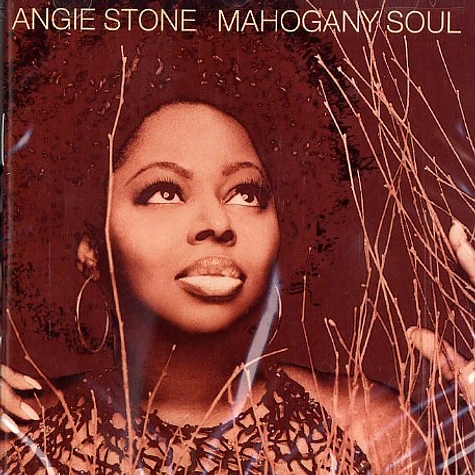 Angie Stone - Mahogany soul