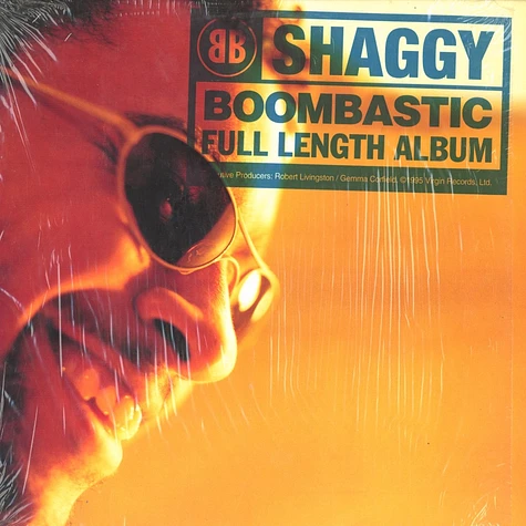 Shaggy - Boombastic full length album