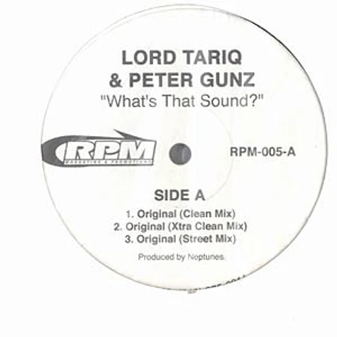 Lord Tariq & Peter Gunz - What's That Sound?
