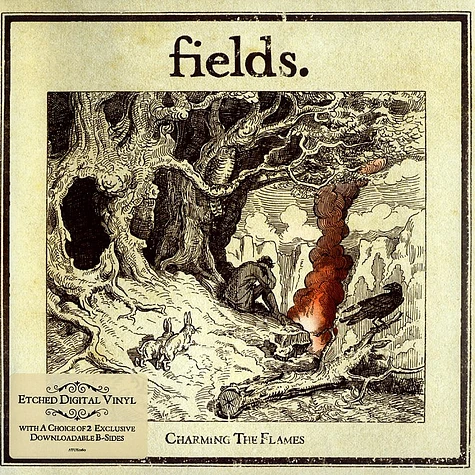 Fields - Charming the flames