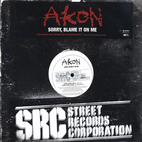 Akon - Sorry, blame it on me