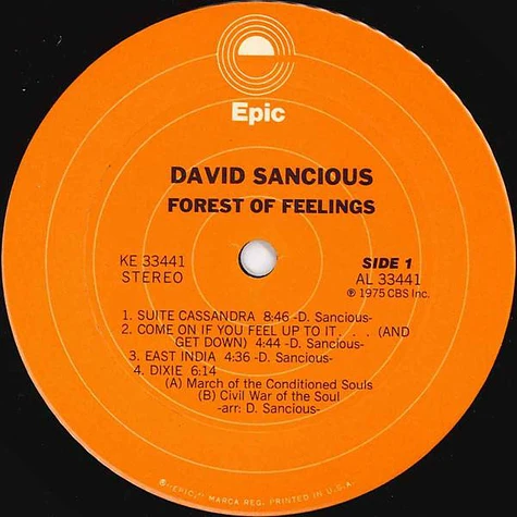 David Sancious - Forest Of Feelings