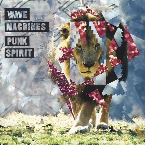 Wave Machines - Punk Spirit