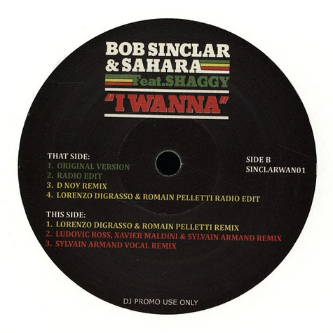 Bob Sinclar & Shaggy - I Wanna