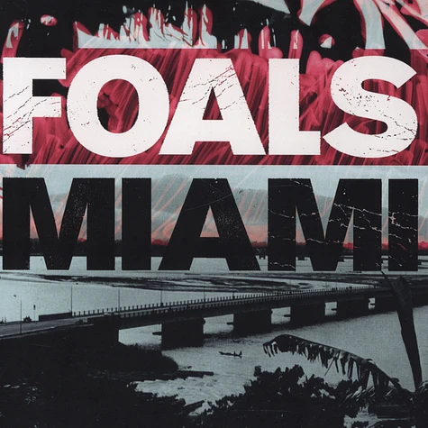 Foals - Miami 1