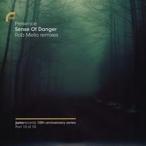 Presence (Shara Nelson & Charles Webster) - Sense Of Danger Rob Mello Remixes