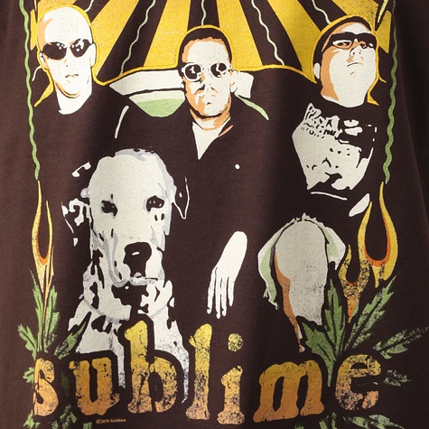 Sublime - Leaf Frame T-Shirt
