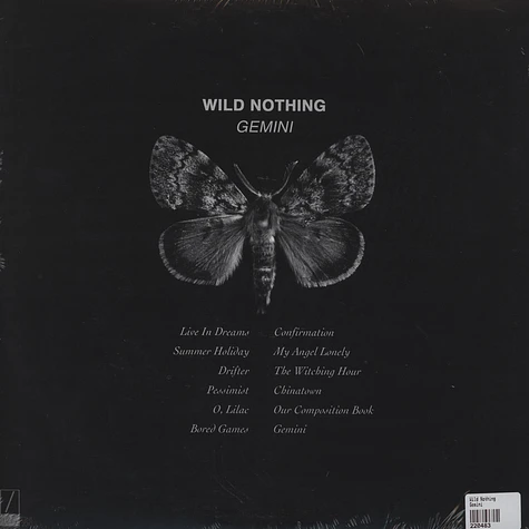 Wild Nothing - Gemini