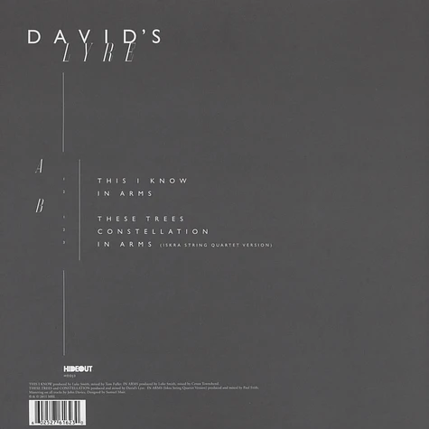 David's Lyre - In Arms EP