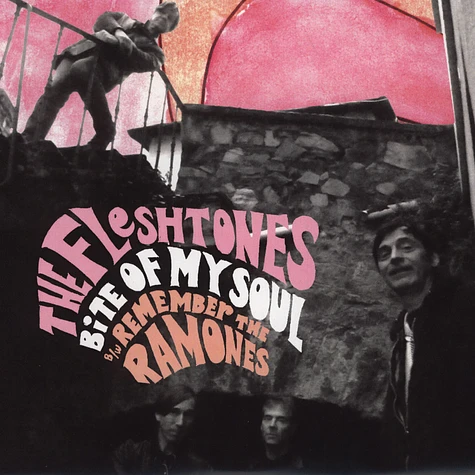 The Fleshtones - Bite Of My Soul