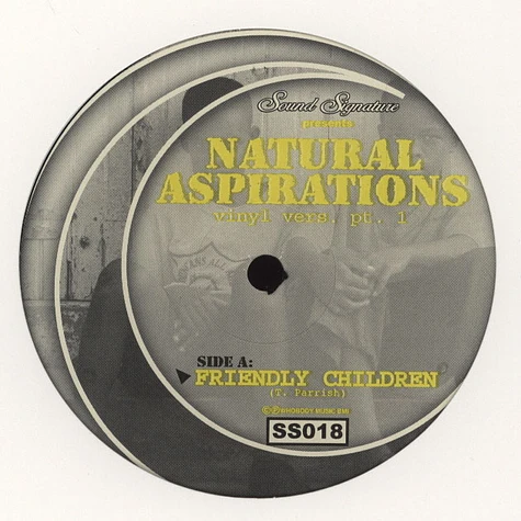 Theo Parrish - Natural Aspirations Vinyl Version Part 1