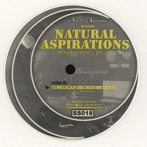 Theo Parrish - Natural Aspirations Vinyl Version Part 1