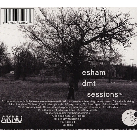 Esham - Dmt Sessions